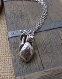 Anatomical Heart Necklace