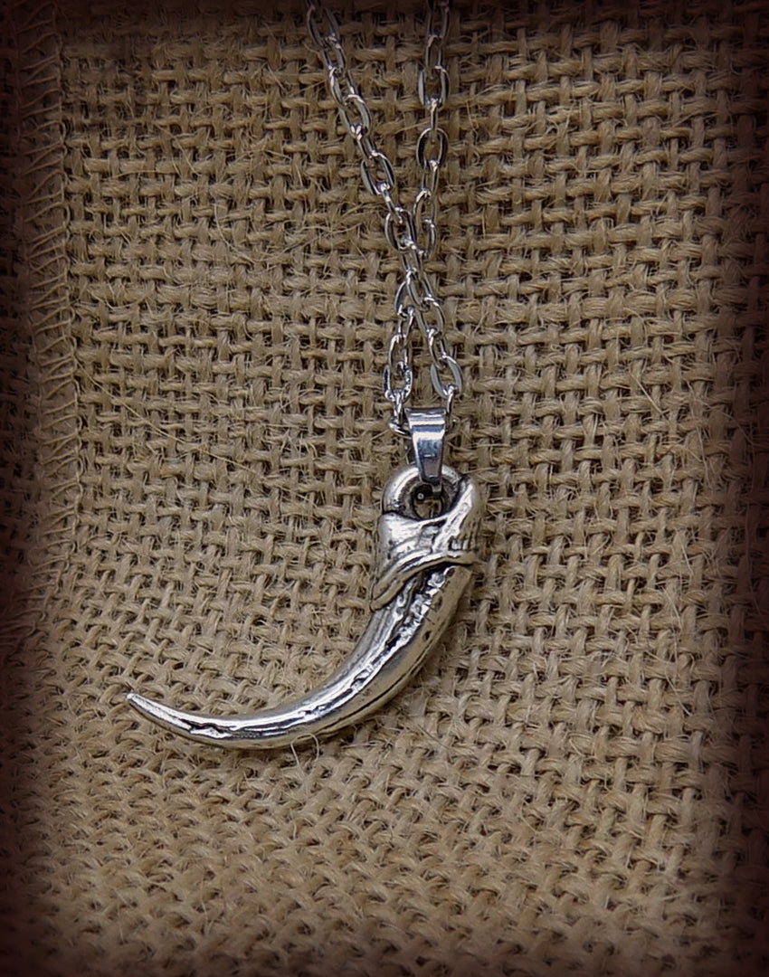 Raptor Talon Claw Necklace – Zanti Jewelry